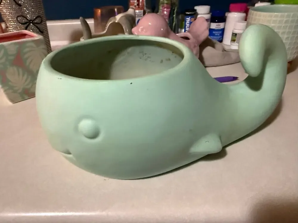 Smiling whale flower pot